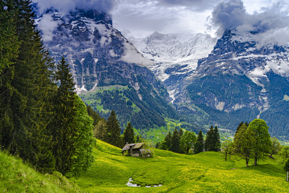 Jobsuche in der Schweiz
